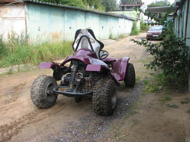 Электробагги (вид сзади)