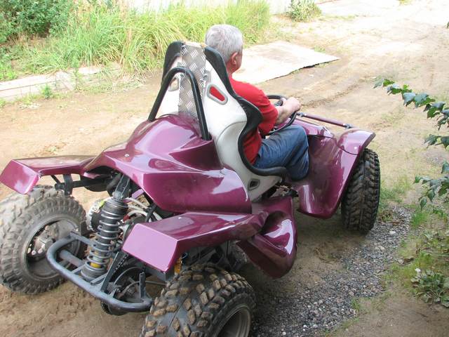 Электро багги (вид сзади)